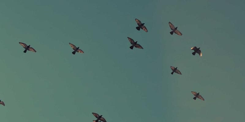 Professional associations networking events newcomers