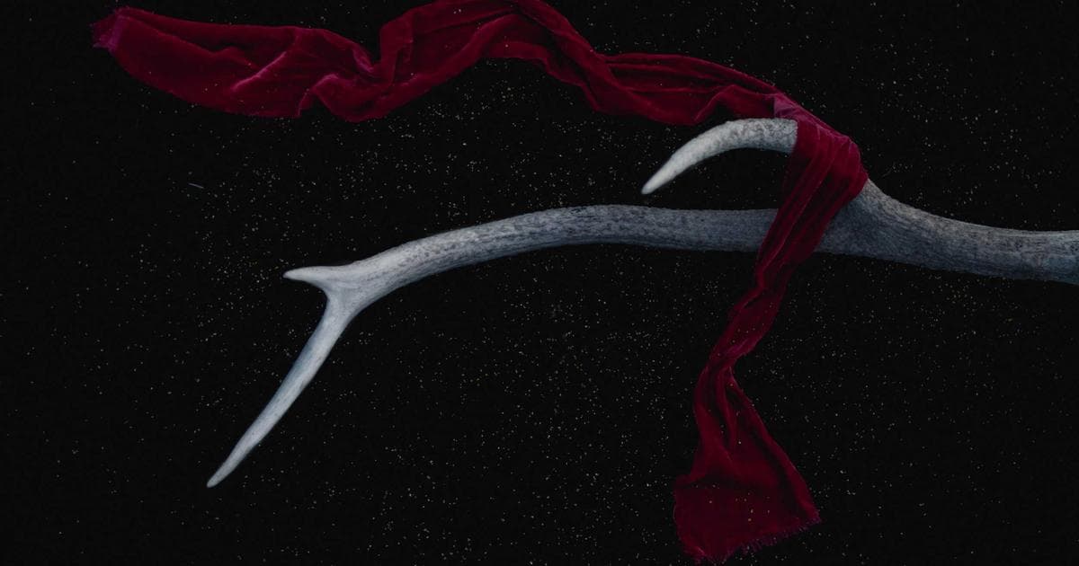 The Canadian Charter of Rights and Freedoms document open, with a diverse group of newcomers in the background, symboliz