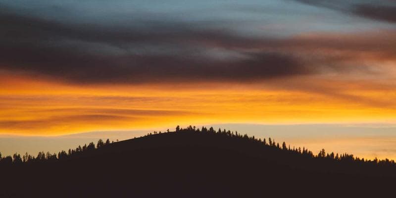 Immigrant women employment empowerment programs Canada