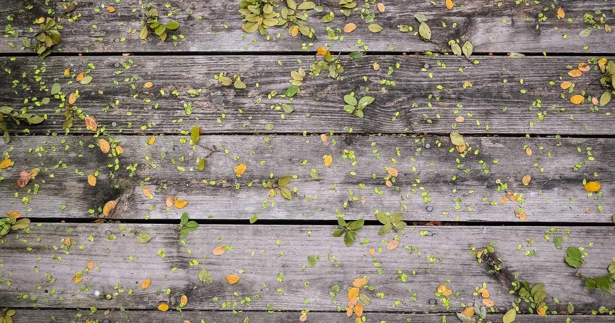 Diverse group of LGBTQ+ newcomers smiling together under a subtle rainbow flag, symbolizing community and support in Can
