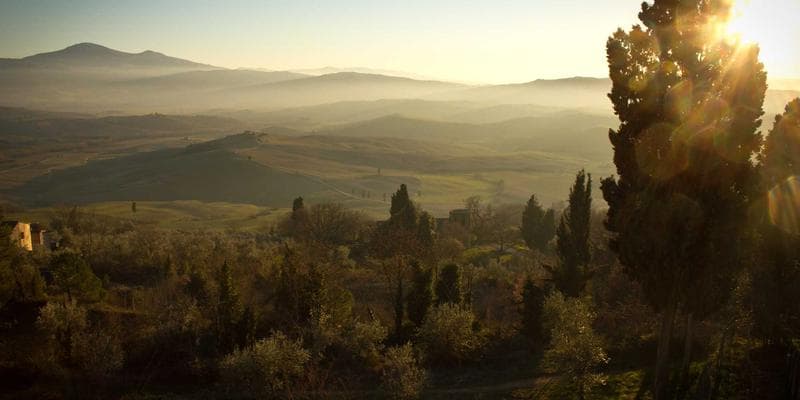 Protecting Social Insurance Number from identity theft