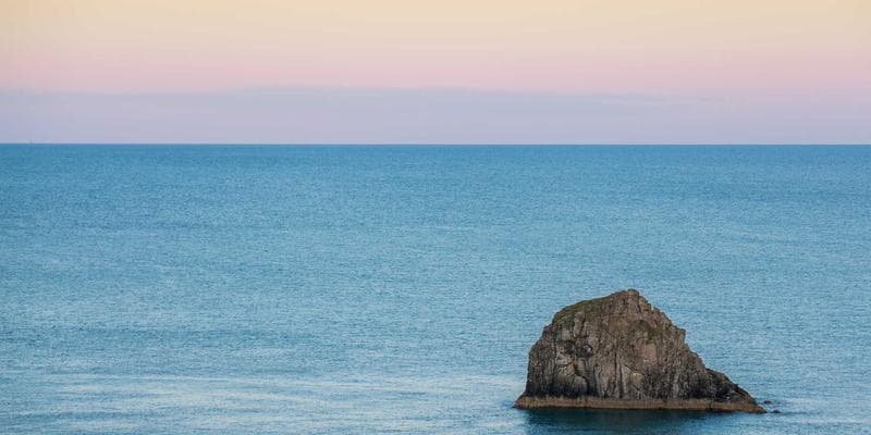 Anti-racism resources rights for Black newcomers Canada