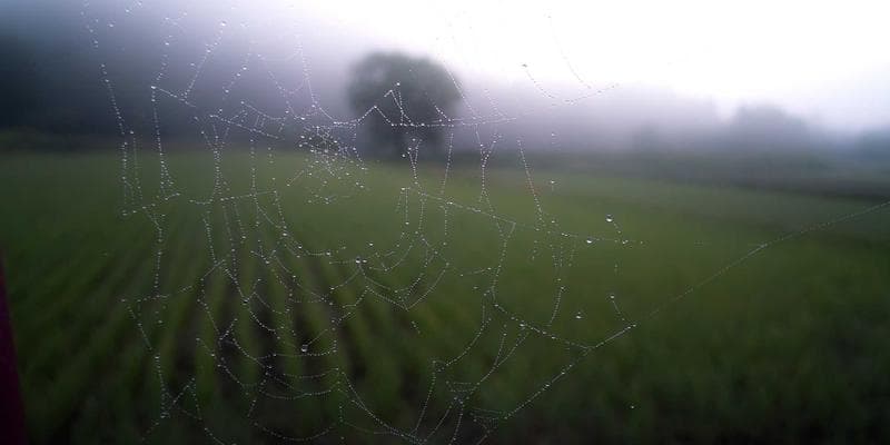 Canada Student Loans and Grants: Federal Aid for Newcomer Students resources support newcomers Canada settlement