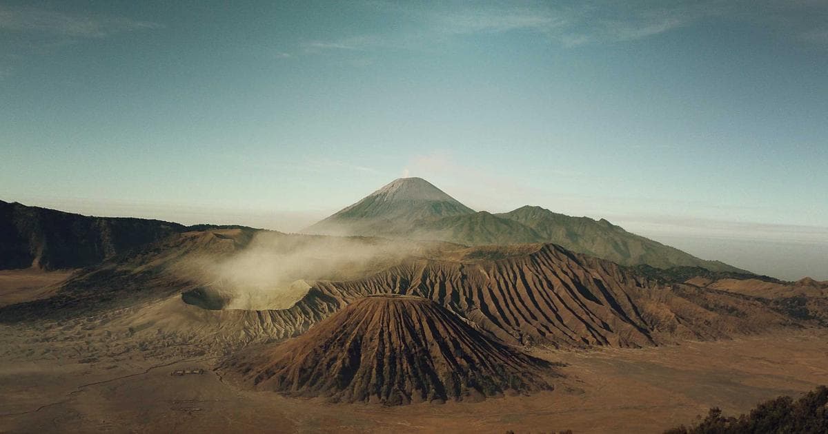 Piggy bank with Canadian coins, symbolizing the Registered Disability Savings Plan (RDSP) for newcomers with disabilitie