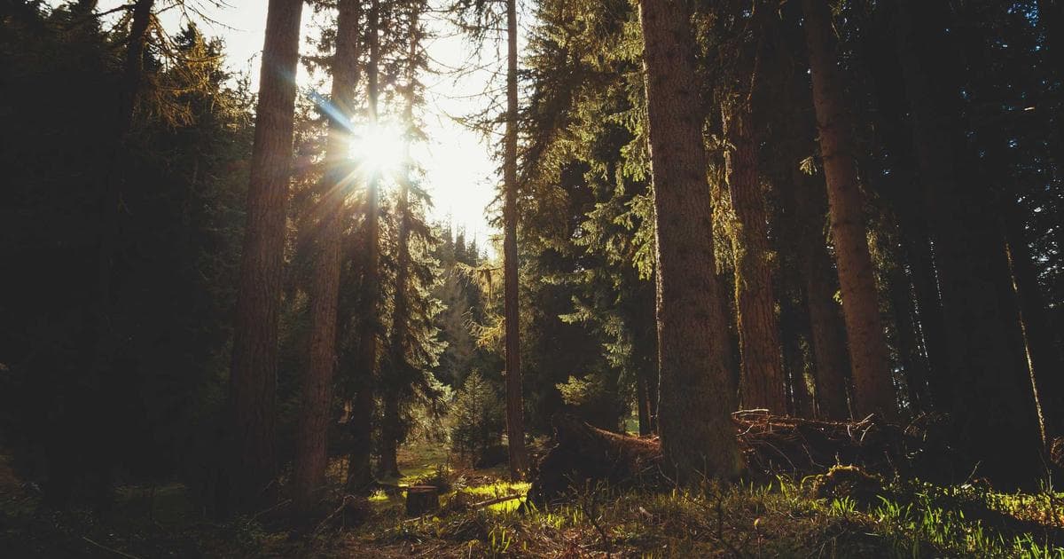 Canadian Permanent Resident card on a passport, illustrating the 730-day rule for maintaining PR while traveling.