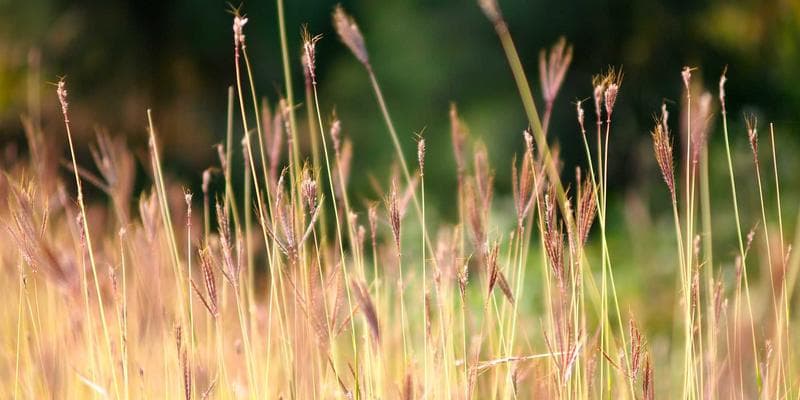 Maintaining Permanent Residency While Traveling: The 730-Day Rule Explained resources support newcomers Canada settlement