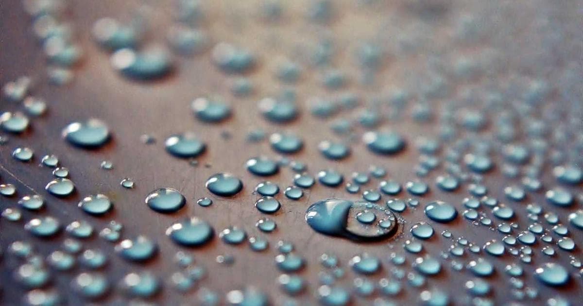 Diverse newcomers volunteering in a Canadian community, building skills, networking, and giving back.