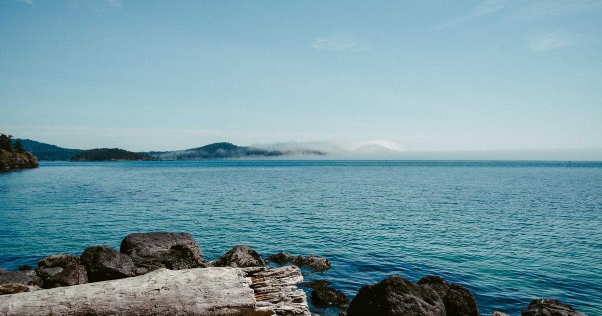 Diverse children in a bright Canadian classroom, ready for K-12 schooling and ESL support.