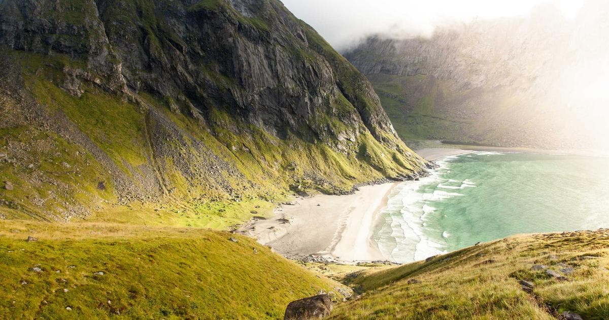 Newcomer in Canada comparing phone plans and internet options on a smartphone for budget-friendly choices.