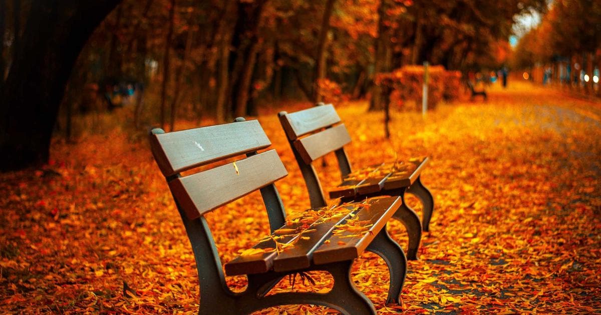 Infographic comparing Canadian provincial student aid programs: OSAP, StudentAid BC, and Alberta Student Aid.