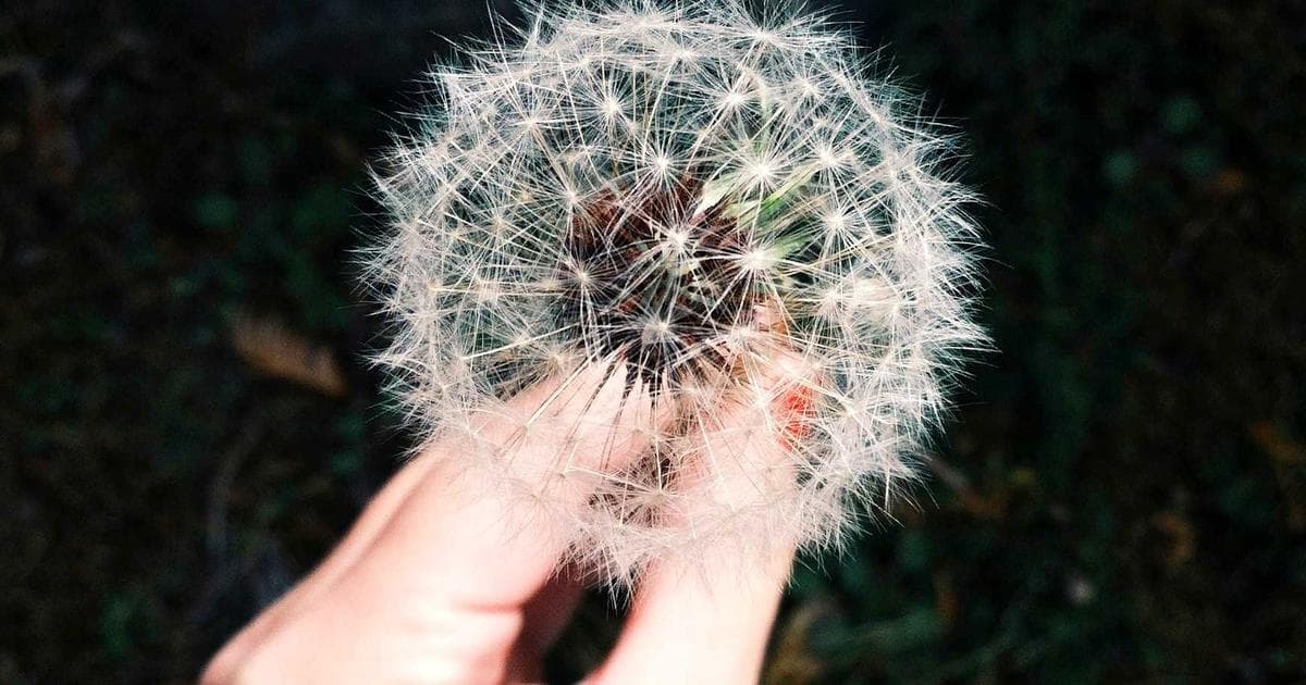 Diverse LGBTQ+ newcomers in Canada, symbolizing rights, resources, and safety in an inclusive community.
