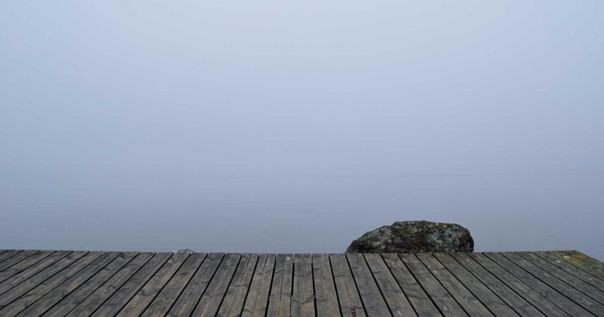 Diverse women finding support and safety resources in Canada, including shelters and legal aid.