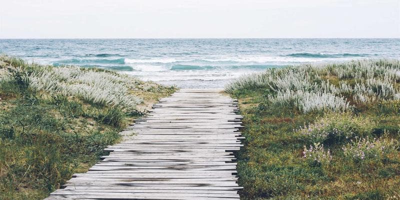 Overcoming Employment Barriers for Newcomer Women in Canada: Programs, Childcare, and Career Support resources and support for newcomers in Canada