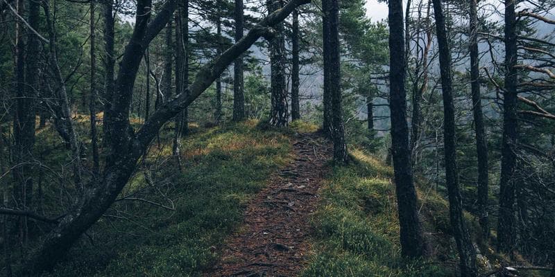 Immigration Medical Exam and Disability: How Inadmissibility Rules Affect Disabled Newcomers resources and support for newcomers in Canada