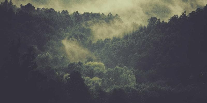 Apartment buildings in Canadian city representing housing search for newcomers