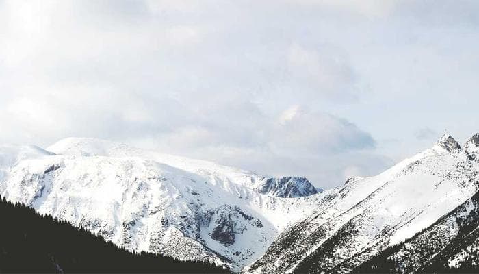 Customs declaration area at a Canadian airport