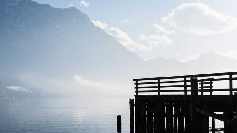 Family with young children in a park in Canada
