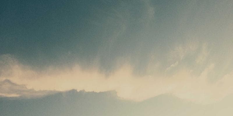 Person filling out the IMM 0104 form to authorize release of immigration information in Canada