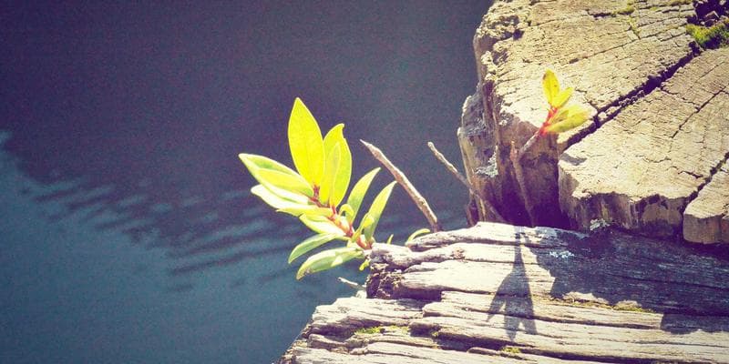 Hydroelectric dam in British Columbia providing clean electricity