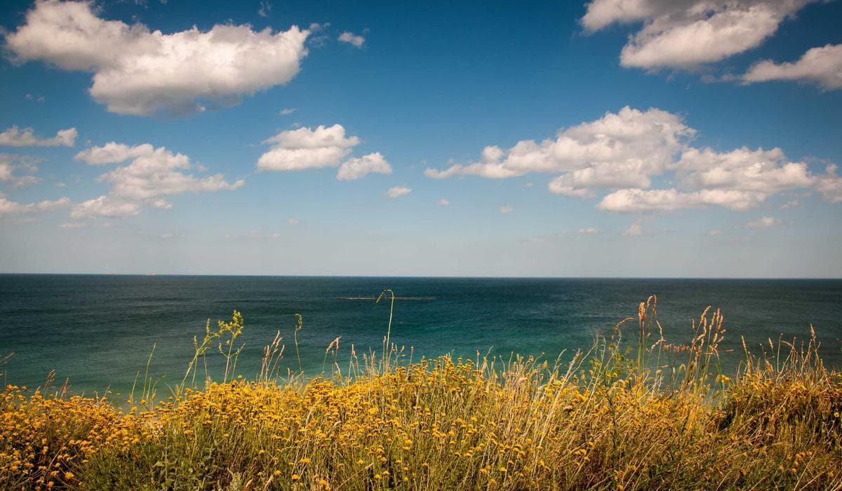Person visiting ICBC office to apply for BC Services Card