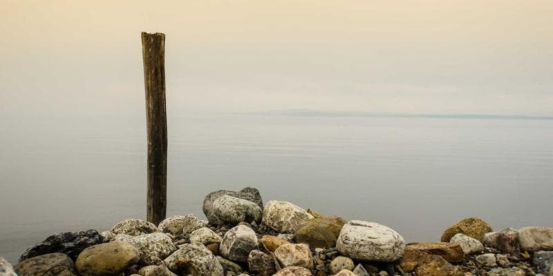 Application form for a birth certificate being filled out at a desk