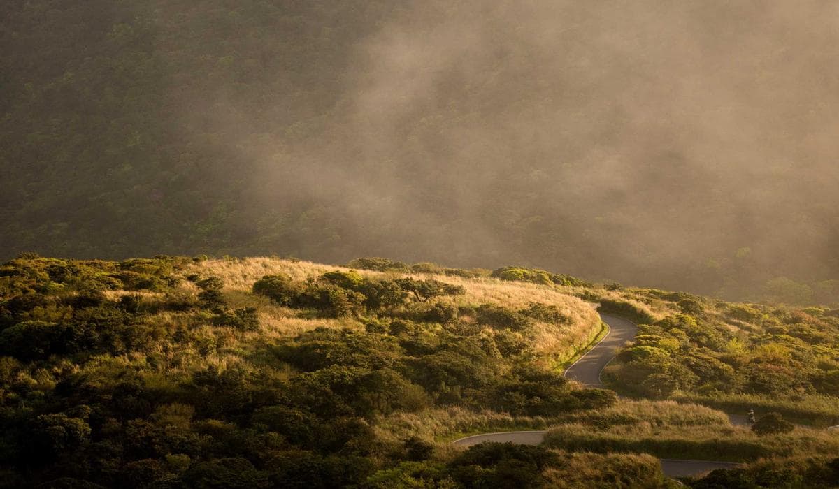 Happy worker in Canada after receiving bridging open work permit approval