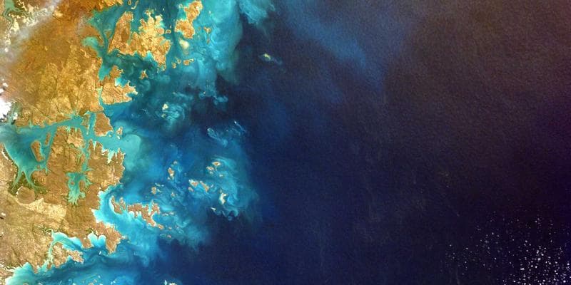 Newcomer checking credit score on phone with upward trend