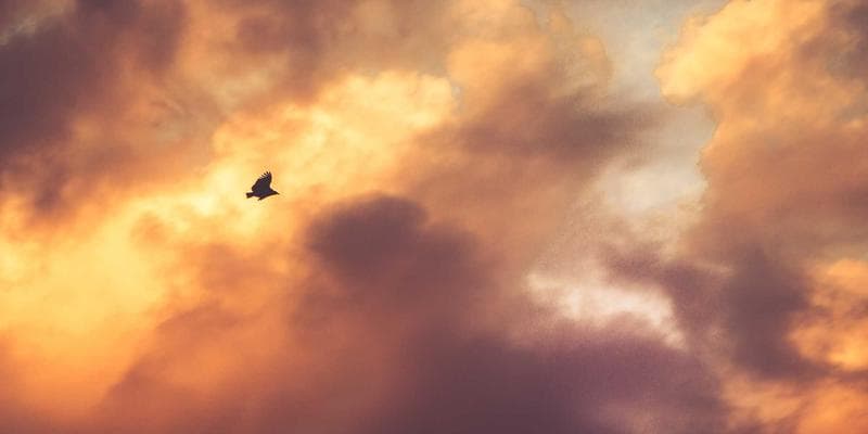 Modern Calgary Central Library building exterior with distinctive architectural design