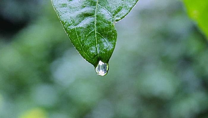 Row of community mailboxes used by Canada Post for residential delivery