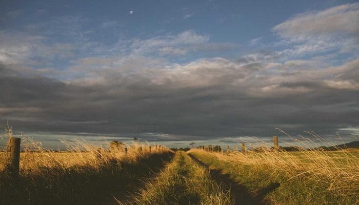 Person placing stamped letter in Canada Post red mailbox