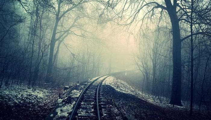 Fresh fruits and vegetables at a Canadian farmers market stall