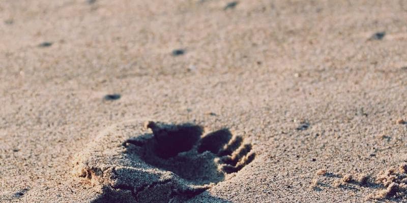 Small business owner serving customers at point of sale in Canadian shop