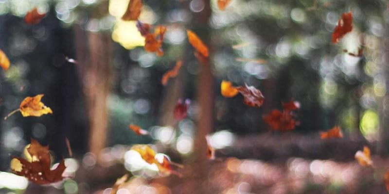 Layered winter clothing including base layer, mid layer, and outer shell displayed on table