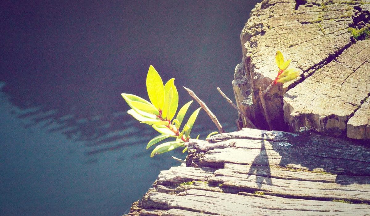 Newcomer family with children enjoying life in Canada supported by child benefit