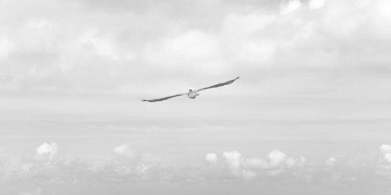 Split screen comparison showing incorrect and correct Canadian resume formats