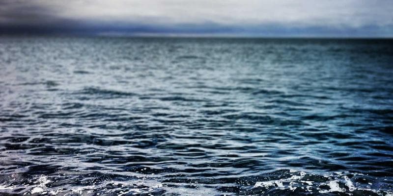 Professional working in Canada after changing immigration status