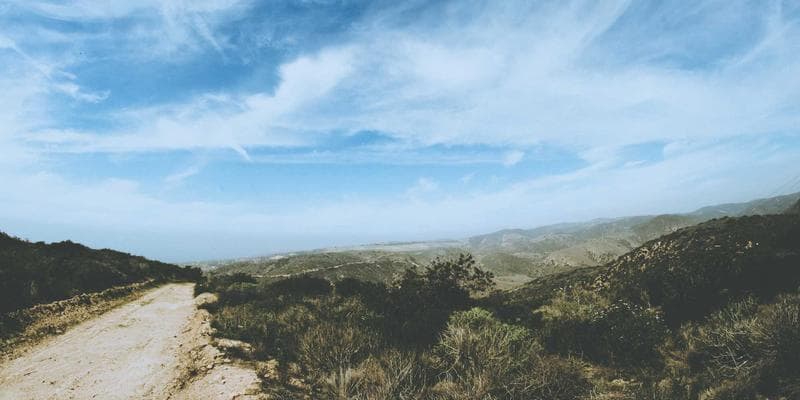 Person checking their phone for potential scam messages in Canada