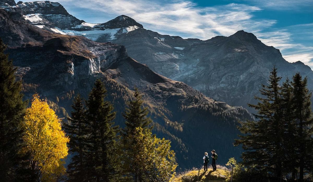 Step-by-step CRA My Account registration process on screen