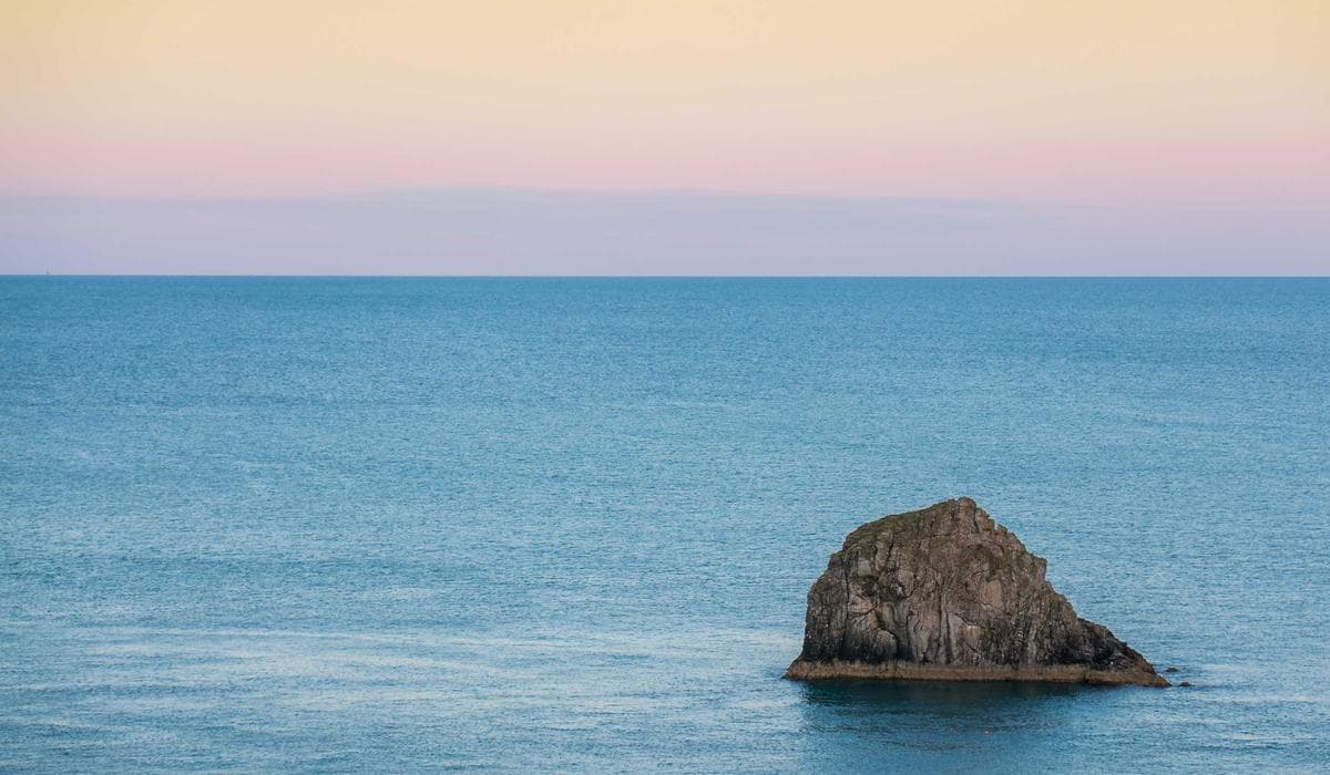 Newcomer reviewing educational credential assessment documents