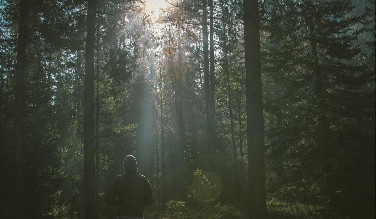 Educational documents being prepared for credential assessment