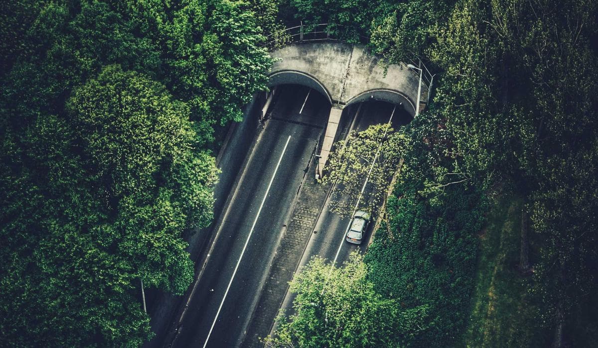 Newcomer organizing credential documents for Canadian assessment