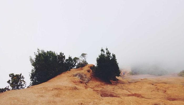 Dental instruments and tools on a tray in a Canadian dental office