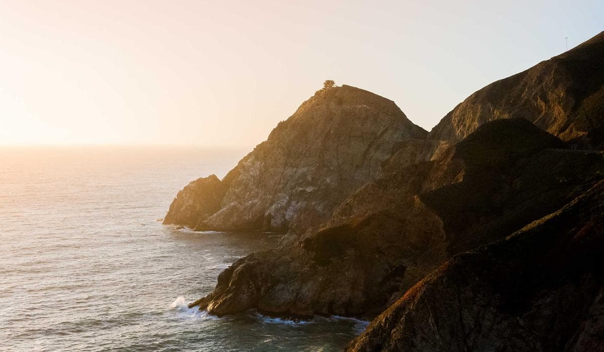 Newcomer receiving Employment Insurance payment notification on phone