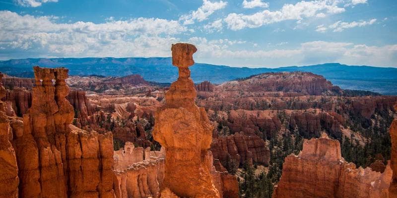 Grandparents arriving in Canada on a Super Visa to visit family