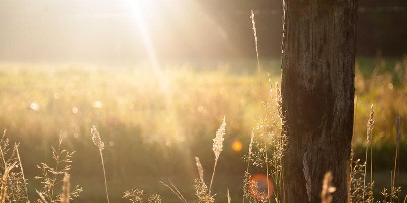 Fixed vs variable mortgage rate comparison chart