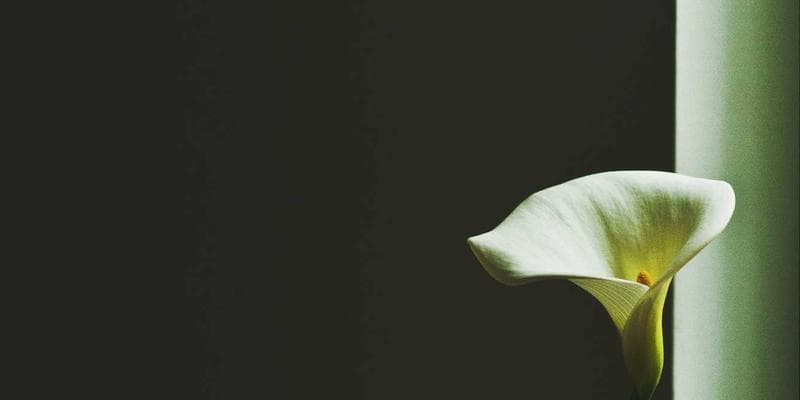 Calendar and tax forms representing quarterly tax instalments for freelancers