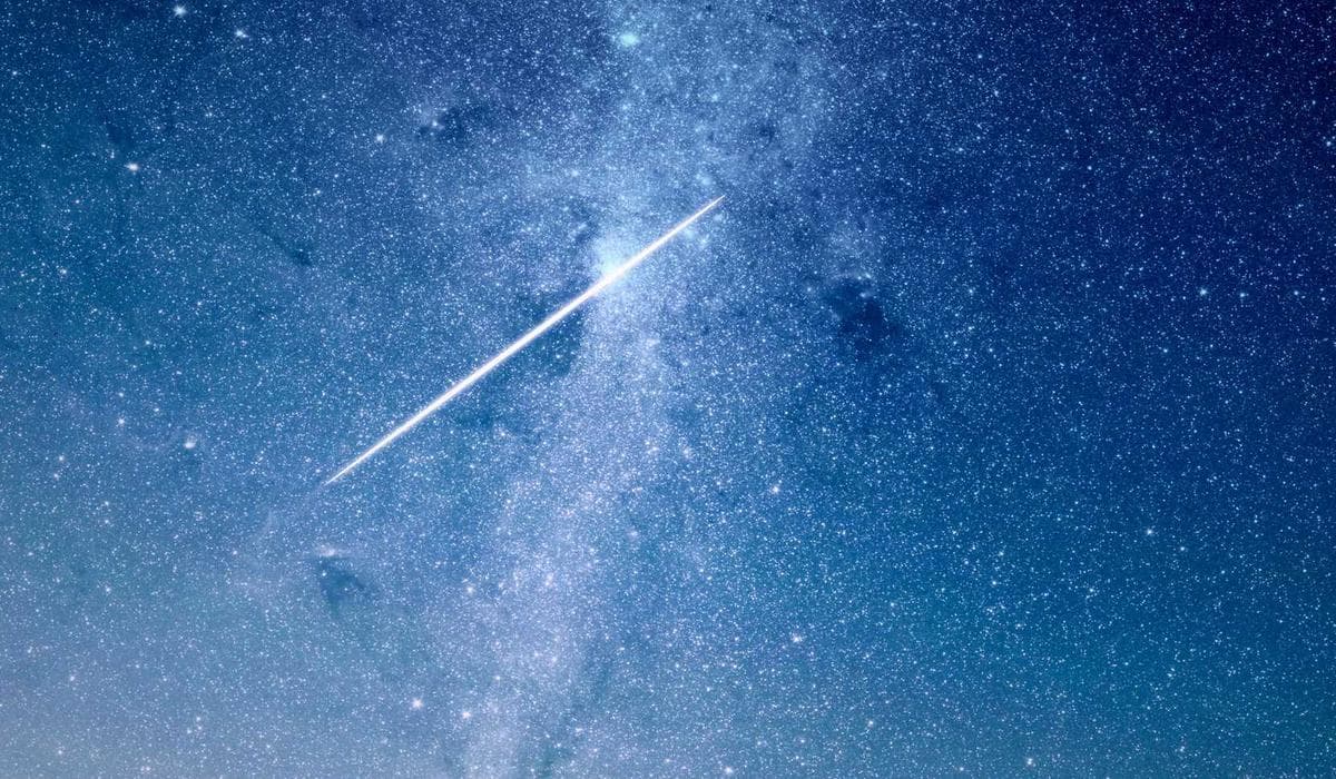 Gig worker checking their earnings on a smartphone in Canada