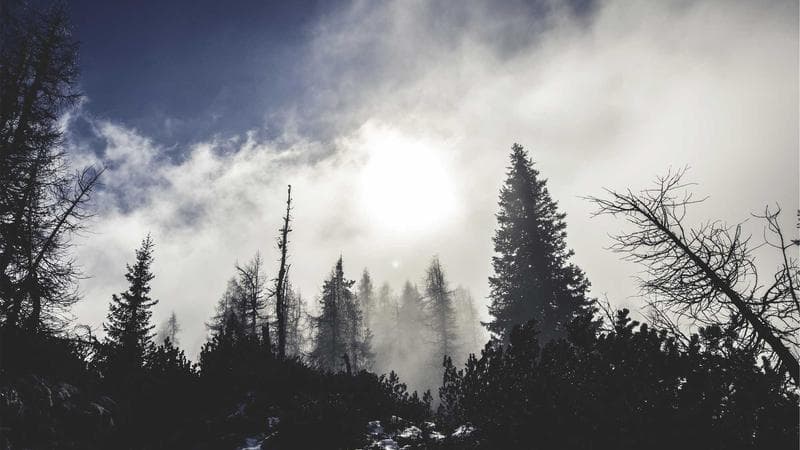 Canadian coins and financial documents representing registered savings accounts for newcomers