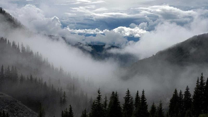 Car driving on a British Columbia highway representing car insurance for newcomers
