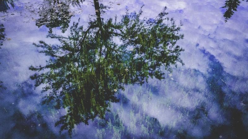 Newcomer Guide to Living in Halifax: Atlantic